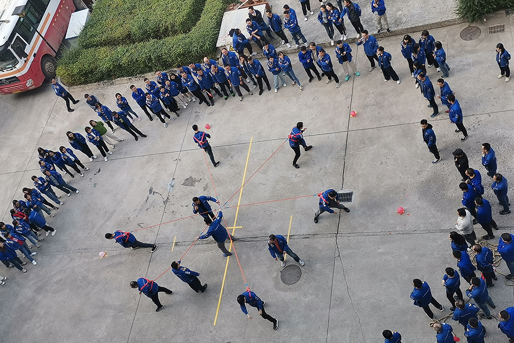 凤凰同盟平台注册·(唯一)官方网站